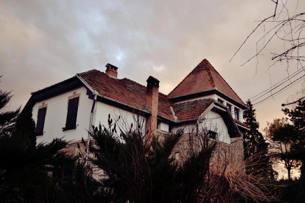 Villa Castelul Maria Banpotoc Exterior photo